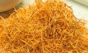 Cat’s Claw Extract pic - Rekick 2 Cat’s Claw Extract pic - Rekick 2